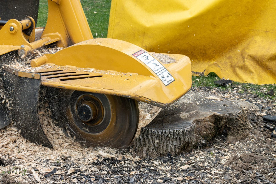 An image of Stump Grinding and Removal Services in Edmonds, WA